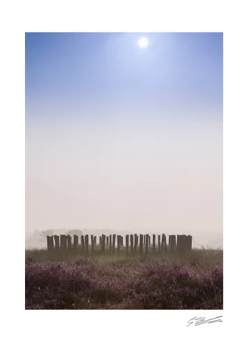 Artmuze Op de heide (300008)