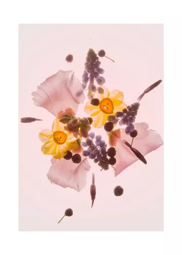 Artmuze Pink Flower scenery  (300189)